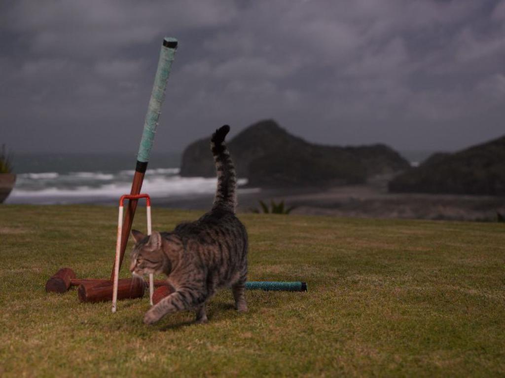 Bethells Beach Cottages Екстериор снимка