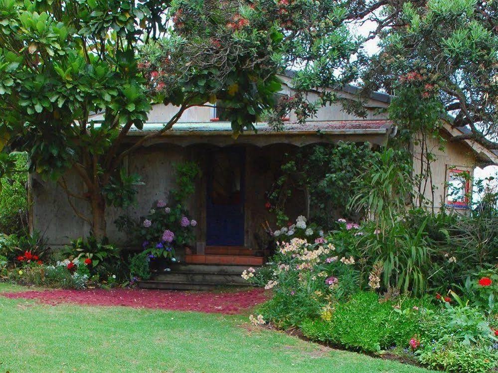 Bethells Beach Cottages Екстериор снимка